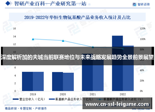 深度解析加的夫城当前联赛地位与未来战略发展趋势全景前景展望