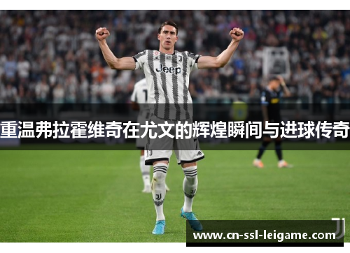 重温弗拉霍维奇在尤文的辉煌瞬间与进球传奇