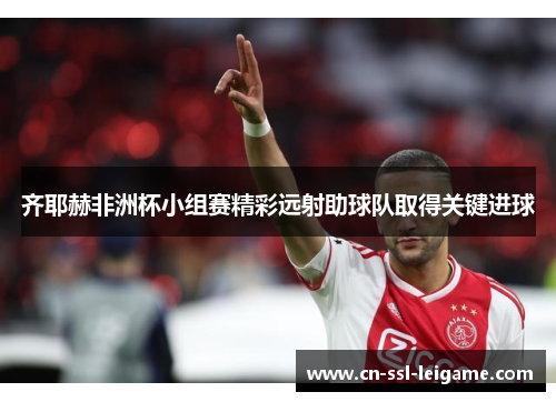 齐耶赫非洲杯小组赛精彩远射助球队取得关键进球